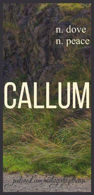 Scottish Gaelic Name Callum Name, Boy Names With J, Baby Boy Names Rare, Boys Names Rare, Trendy Baby Boy Names, German Baby Names, Gaelic Names, British Baby Names, Dove Peace