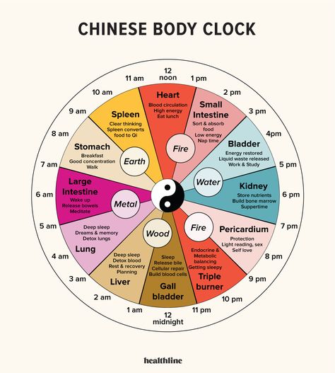 Chinese Body Clock, Organ Clock, Circadian Clock, Clock Poster, Yin En Yang, Body Clock, Clear Thinking, Energy Medicine, Circadian Rhythm