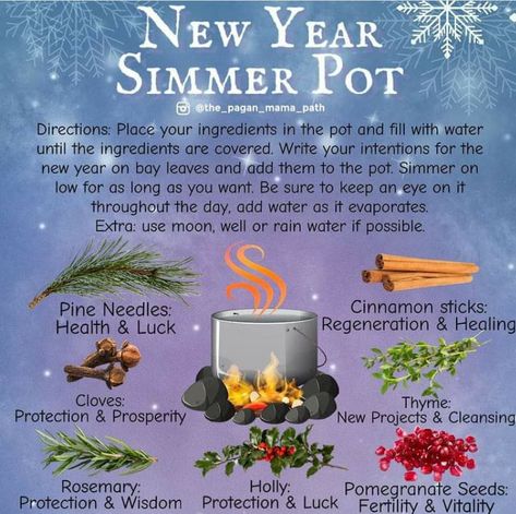 New Year Simmer Pot, Pot Simmer, Witch Recipes, Simmering Pot, Simmer Pots, Shiny Rocks, Simmer Pot Recipes, Kitchen Witch Recipes, Stagnant Energy