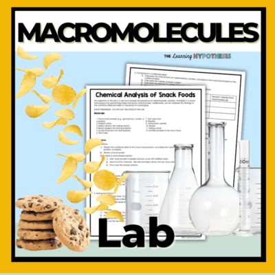 Macromolecules Project, Macromolecules Biology Activities, Teaching Macromolecules, Bio Molecules, Highschool Biology, Macromolecules Biology, High School Biology Classroom, Photosynthesis Lab, Homeschool Chemistry