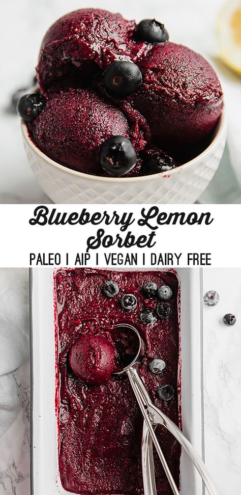 No Churn Sorbet Recipes, Paleo Blueberry Recipes, Healthy Sorbet Recipes, Fruit Sorbet Recipe, Blueberry Sorbet, Unbound Wellness, Sorbet Is, Benefits Of Lemon, Sorbet Ice Cream