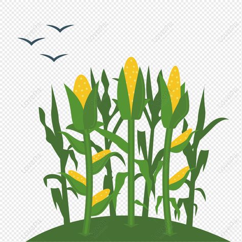 Corn Field Clipart Check more at https://aykgallery.com/72740-corn-field-clipart Corn Field Illustration, Corn Field Drawing, Field Drawing, Vector Animation, Corn Field, Farm Games, Drawing Inspo, Easy Drawings, Corn