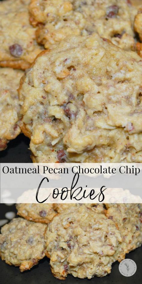 Oatmeal Chocolate Chip Coconut Pecan Cookies, Oatmeal Chocolate Chip Pecan Cookies, Oatmeal Pecan Chocolate Chip Cookies, Holiday Oatmeal, Oatmeal Pecan Cookies, Brownies Coconut, Pecan Chocolate Chip Cookies, Cookies Oatmeal, Plating Food