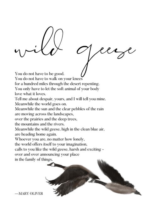 wild geese mary oliver meaning - Google Search Mary Oliver Tattoo, Wild Geese Tattoo, Wild Geese Poem, Geese Tattoo, Wild Geese Mary Oliver, Oliver Tattoo, Poem Tattoo, Goose Tattoo, Sunshine On A Rainy Day