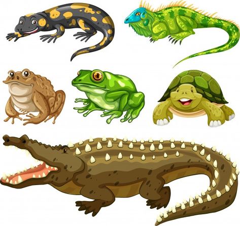 Set of reptile animal | Free Vector #Freepik #freevector #green #nature #character #cartoon Reptile Cartoon Drawings, Amphibians Animals, Nature Character, Turtle Facts, Inkscape Tutorials, Green Leaf Background, Nature Logo Design, Animal Vector, Green Pictures