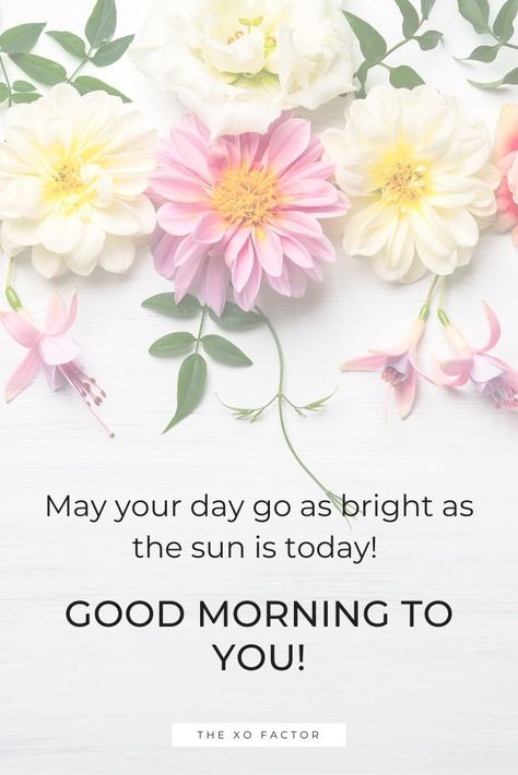 Good Morning Sun, Good Morning Massage, Good Morning Greeting Cards, Cute Good Morning Images, Happy Morning Quotes, Beautiful Good Morning, Quote Images, Good Morning Sunshine Quotes, Morning Life Quotes