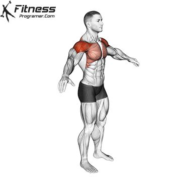 Arm Circles 1 Arm Circles Exercise, Office Exercises, Shoulder Strengthening, Rotator Cuff Exercises, Boxing Training Workout, Chest Workout Routine, Best Shoulder Workout, Gym Workout Planner, Body Toning