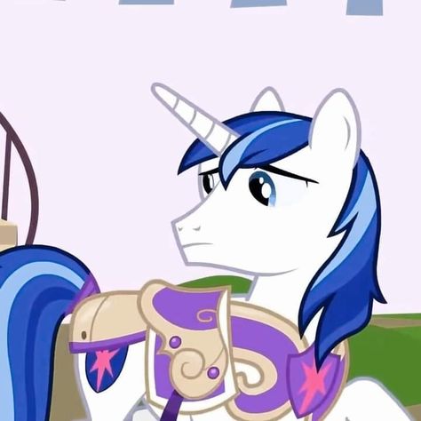 Shining Armour My Little Pony, My Little Pony Boys, Canterlot Wedding, Twilight Pony, Crush Cake, Male Cartoon Characters, Old Cartoon Shows, My Little Pony Characters, Mlp Pony