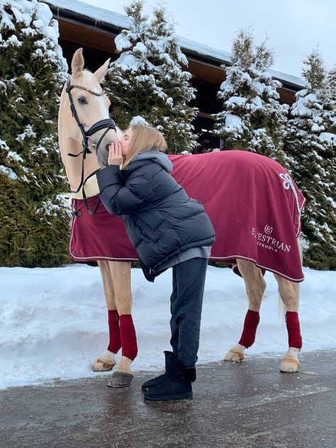 Winter Horse Riding Outfit, Winter Riding Outfits, Equestrian Photoshoot, Horsey Life, Horse Riding Aesthetic, Show Jumping Horses, Winter Horse, Equestrian Aesthetic, Cute Horse Pictures