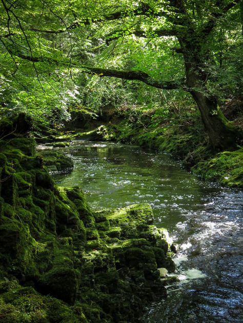 silvaris: Tollymore by Romain Butez Headscarf Styles, Fairycore Aesthetic, Outdoor Aesthetic, Fantasy Forest, Forest Creatures, Nature Plants, Natural Landscape, Green Life, Nature Aesthetic