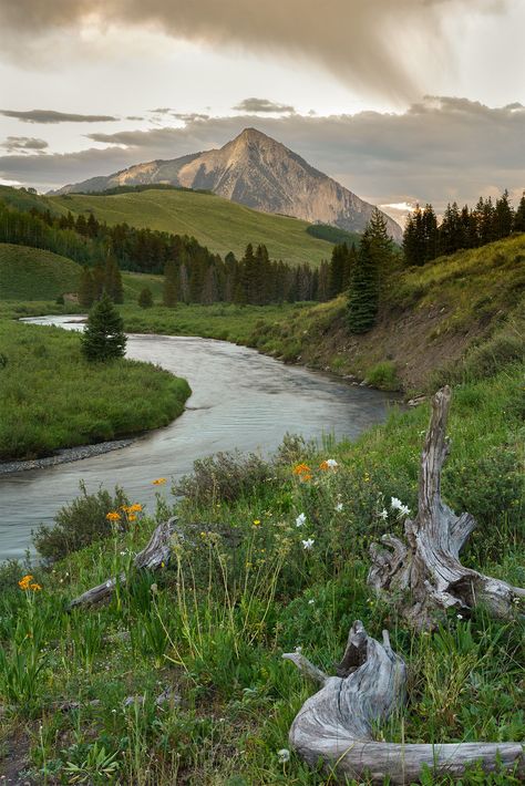 Foreground logs point towards wildflowers Crested Butte Colorado, Lazy River, Fine Art Landscape Photography, Nordland, Landscape Photography Nature, Crested Butte, Pretty Landscapes, Fine Art Landscape, Fine Art Photography Print