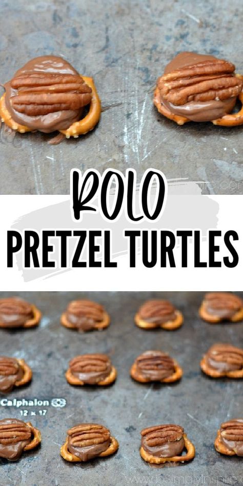 Rolo Dessert Recipes, Rolo Dessert, Turtle Bites, Pecan Turtles Recipe, Rolo Pretzel Turtles, Turtle Pretzels, Turtles Recipe, Pretzel Turtles, Rolo Pretzel