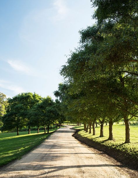 Dream Home On Land, Farm Driveway Entrance Ideas, Driveway Aesthetic, Taman Aesthetic, Farm Driveway, Nature Inspired Architecture, Big Farm Aesthetic, Farm Backyard, Long Driveway To A Big White House