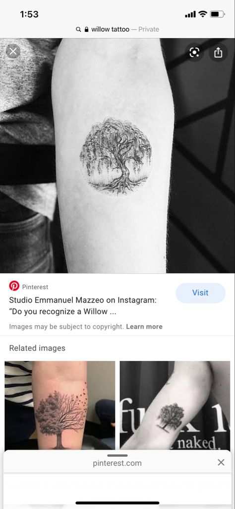 Eternity Tattoo, Willow Tree Tattoo, Willow Tree Tattoos, Tree Tattoos, Saved Tattoo, Circle Tattoo, Curly Willow, Arm Tattoos For Women, Arm Tattoos