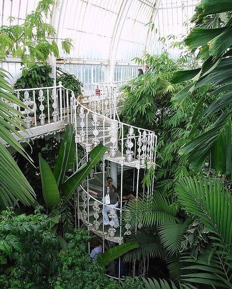 One of @geo_fleur's favourite spots in London @kewgardens #fridayfeast #instagramtakeover by stylistmagazine Palm House, Garden Greenhouse, Kew Gardens, Spiral Staircase, English Garden, Glass House, The Palm, Winter Garden, House Inspo