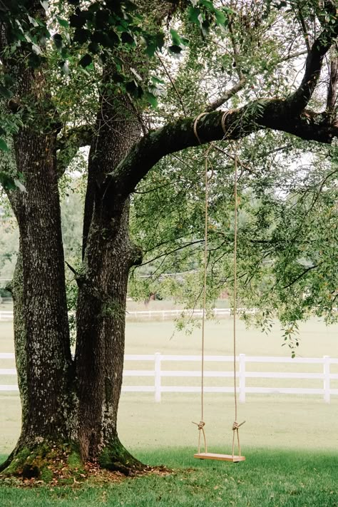 Trees With Swings, Swings On Trees, White Farm Fence, Tree Swing Ideas, Farm Backyard, Farm Fencing, Tree Swings, Desk With Shelves, Backyard Farm