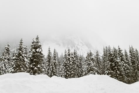 Pictures Of Winter, Winter Wallpaper Desktop, Beautiful Winter Pictures, Christmas Desktop Wallpaper, Desktop Wallpaper Macbook, Winter Drawings, Christmas Desktop, Winter Landscapes, Christmas Wallpaper Backgrounds