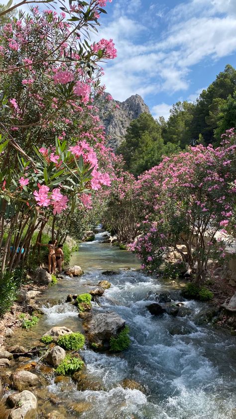 📍Spain #River #aesthetic #vacation #summer #summeraesthetic #blossoms #pink #flowers #swimming River Aesthetic, Pictures Of Flowers, Aesthetic Vacation, Pink Blossom, Flower Pictures, Summer Aesthetic, Pink Flowers, Blossom, Spain