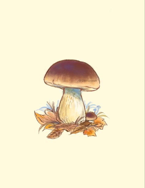 Artist Starcocoon on instagram  #fall #mushroom #foraging #procreate #procreate Item References, Mushrooms Drawing, Brown Drawing, Mushroom Foraging, Fall Artwork, Mushroom Brown, Mushroom Drawing, Adventure Art, Brown Art