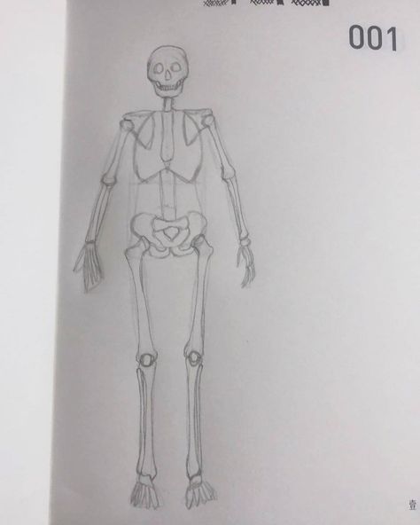 001 Full Skeleton Drawing, Clavicle Bone, Full Skeleton, Skeleton Drawing, Skeleton Drawings, Daily Drawing, Drawing Practice, I Forgot, A Drawing