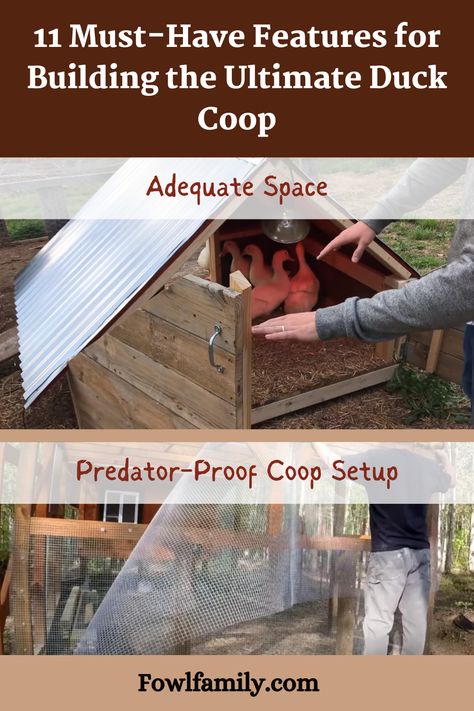 Are you building the perfect home for your backyard duck flock? Discover the key elements to include when designing a safe, functional, and comfortable duck coop. From proper ventilation to ideal nesting areas, get insider tips to build the ultimate duck housing to keep your feathered friends happy and healthy. #DuckCoop #BackyardDucks #PoultryHousing #DuckCoopDesign #WaterfowlCare Duck Housing, Duck Run, Duck Enclosure, Duck House Plans, Duck Stuff, Backyard Ducks, Duck Coop, Duck Farming, Raising Farm Animals