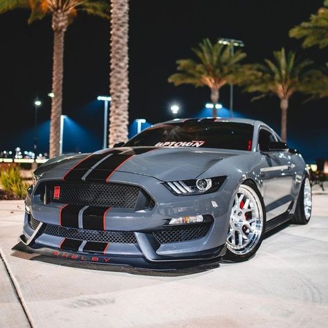 Mustang Gt 350, Shelby Gt, Ford Shelby, Ford Mustang Shelby, Mustang Shelby, Mustang Gt, Beautiful Cars, Ford Mustang, Muscle Cars