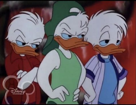 Quack Pack (Huey, Dewey & Louie) Fethry Duck, Tick Trick Track, Quack Pack, Dewey Duck, Huey Dewey And Louie, Louie Duck, 90s Cartoon Shows, Disney Ducktales, Disney Duck