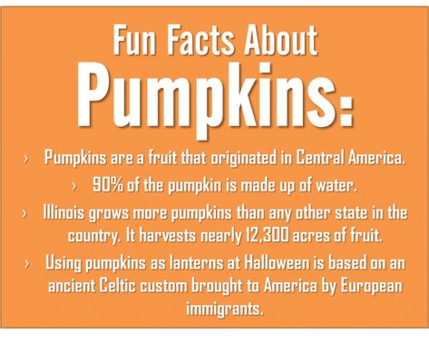 26 Halloween Facts Halloween Fun Facts, Pumpkin Facts, Facts About Halloween, Fall Coloring Sheets, Fall Festival Games, Festival Games, Celtic Festival, Appeasement, Teacher Activities