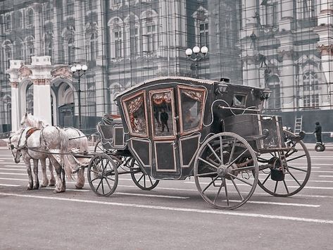 Light Bedding, Victorian Horse, Folding Canopy, Horse And Buggy, Horse Carriage, Horse Drawn, Delphinium, Two People, Horseback Riding