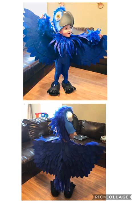 Rio Bird Costume Diy, Bird Costume Diy, Blue Bird Costume, Fancy Dress Diy, Rio Birthday Parties, Recycled Costumes, Rio Movie, Pokemon Costumes, Carnaval Costume