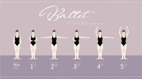 Arms For Beginners, Ballet Arm Positions, Ballet Terms, Adult Ballet Class, Beginner Ballet, Ballet Positions, Ballet Classes, Dance Background, First Second Third