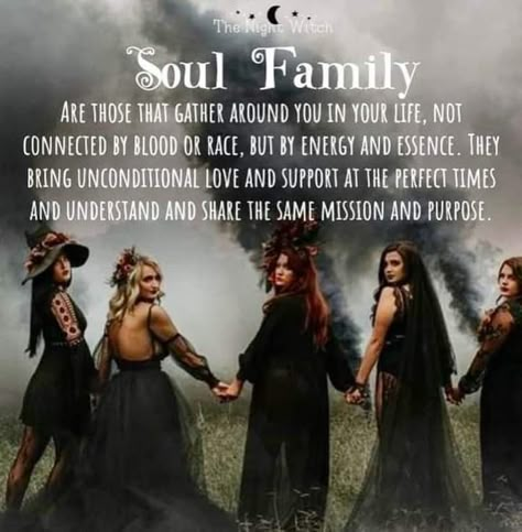 Witchy Quotes, Happy With My Life, Awakening Soul, Soul Tribe, Night Witches, Celtic Pagan, Feminine Essence, Witch Quotes, Soul Family