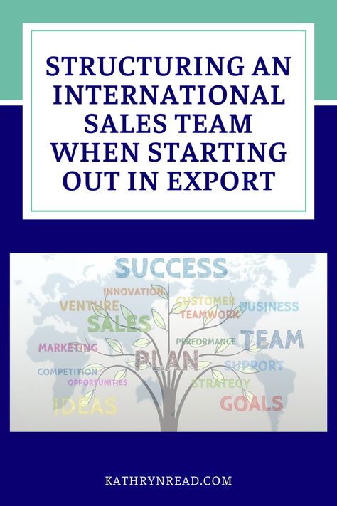 Many companies are thinking about their plans for next year and one of the best options for expansion is to look outside your own borders. But how should you go about structuring an international sales team when you’re new to exports? Export Business, International Market, Sales Process, Sales Strategy, Company Culture, Sales Manager, Can You Be, Business Intelligence, Job Title