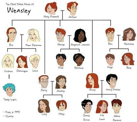 The illustrated Weasley family tree - Imgur Weasley Family Tree, Harry Potter Family Tree, Fanart Harry Potter, Scorpius And Rose, Albus Severus Potter, Citate Harry Potter, Stile Harry Potter, Harry Potter Next Generation, Weasley Family