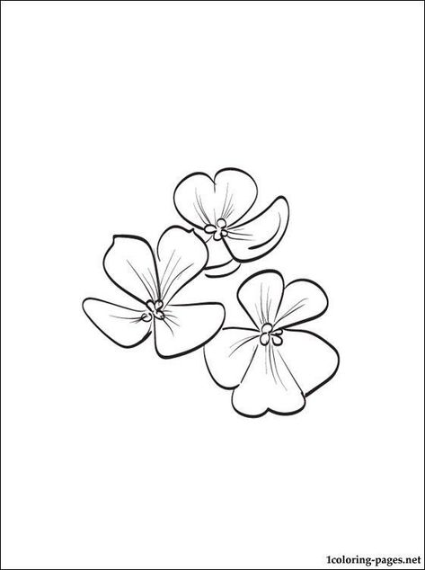 Violet Flower Drawing, Small Flower Drawings, Pansy Tattoo, Violet Flower Tattoos, February Violet, Violet Tattoo, Dibujo Simple, Flower Drawing Design, Birth Flower Tattoos