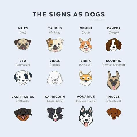 Zodiac Signs Animals, Zodiac Animals, Zodiac Sign Fashion, Zodiac Signs Chart, Zodiac Signs Leo, 강아지 그림, Zodiac Sign Traits, Door Bell, Zodiac Society