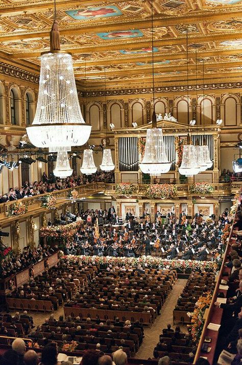 Vienna Palace, Concert Art, Ball Aesthetic, Grand Piano, Concert Hall, Picture Collage, Classical Music, Ocean View, Performance Art