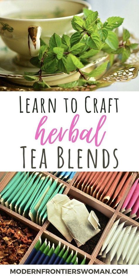 Making Herbal Tea, Tea Blends Recipes, Herbal Tea Garden, Medicinal Herbs Garden, Medicinal Tea, Homemade Tea, Herbal Teas Recipes, Herbal Recipes, Tea Diy