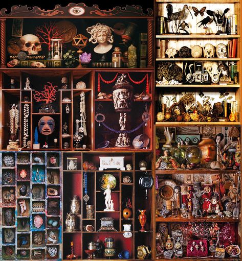 A Wunderkammer by Bregaglio - bregaglio Wunderkammer Cabinet, Clutter Aesthetic, Cabinet Styling, Oddities Collection, Cabinet Of Curiosity, Printers Tray, Curiosity Shop, Shadow Box Art, Cabinet Of Curiosities