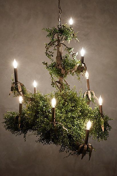 Castlebeck Chandelier - #anthrofav Forest Bedroom, Forest Room, Have Inspiration, Enchanted Forest, Room Themes, My New Room, 인테리어 디자인, My Dream Home, Home Lighting