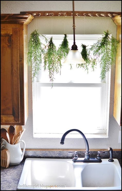 Plants Kitchen Window, Drying Rosemary, Kitchen Window Plants, Plants Kitchen, Above Sink, Plants Hanging, Drying Rack Kitchen, Plant Window, Window Plants