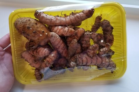 How To Use Fresh Turmeric Root, How To Store Turmeric Root, Turmeric Root How To Use, How To Store Fresh Tumeric, Turmeric Root Recipes, Anti Histamine Foods, Histamine Foods, Grow Turmeric, Raw Turmeric