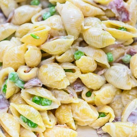 This Creamy Pasta with Prosciutto is savory and rich and made with chunks of salty prosciutto. Easy to make and versatile enough for any meal, this delicious pasta dish is too good to miss. Pasta With Prosciutto, Prosciutto Pasta, Wholesome Meals, Quick Dinners, Delicious Pasta, Alfredo Pasta, Eat Better, Stuffed Pasta Shells, Creamy Pasta