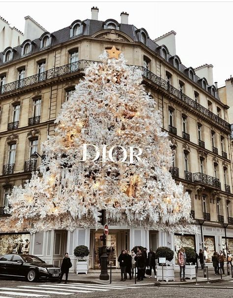 Dior Christmas tree 2018/2019. Paris boutique French Gifts, Simple Interior Design, Boujee Aesthetic, New York City Travel, 背景 シンプル, Christmas Mood, Christmas Aesthetic, Luxury Store, Christmas Wallpaper