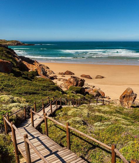 The trip along the Garden Route was mind-blowingly incredible, and so I’ve put together a few top tips in the form of a Backpacker’s Guide to South Africa! Plettenberg Bay, Third Place, Garden Route, Secluded Beach, The Trip, The Horizon, Top Tips, Cape Town, South African