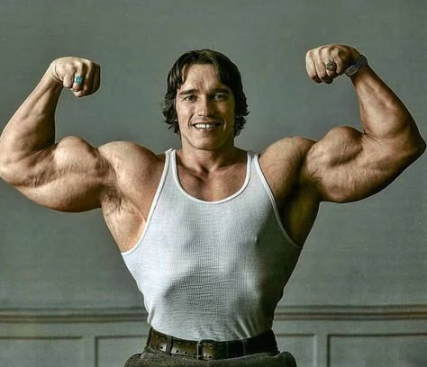 Arnold Body, Arnold Bodybuilding, Arnold Photos, Arnold Schwarzenegger Bodybuilding, Schwarzenegger Bodybuilding, Patrick Schwarzenegger, Bodybuilding Pictures, Maria Shriver, Muscle Building Workouts