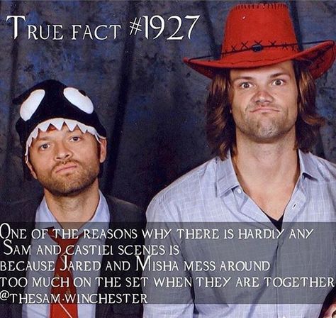 I didn't know this. Thanks for that fact!! @thesam.winchester {all credit goes to this person} Jared And Misha, Spn Funny, Supernatural Facts, Supernatural Baby, Supernatural Actors, Castiel Supernatural, Supernatural Quotes, Supernatural Memes, Supernatural Fans