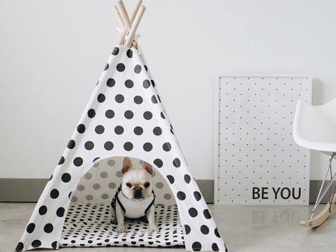 Dog Teepee, Diy Teepee, Biking With Dog, Cool Dog Beds, Dog Hacks, Dog Blanket, Dog Houses, Cat Furniture, Dog House