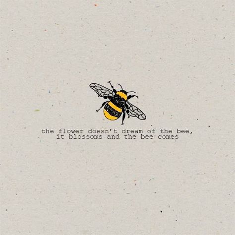 Bee Quotes, Bee Tattoo, Garden Quotes, Bee Art, Love Is, Save The Bees, The Bee, Nature Quotes, A Quote