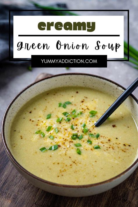 This simple springtime soup is a quick and delicious way to enjoy the fresh and vibrant flavor of green onions. Enjoy this one-pot creamy, vegetarian onion and potato soup in under an hour. #soup #greenonions #healthy #spring Green Onion Soup, Vegetarian Onion Soup, Spring Onion Soup, Spring Onion Recipes, Green Onions Recipes, Winter Appetizers, Spring Appetizers, Onion Soup Recipes, Garlic Soup